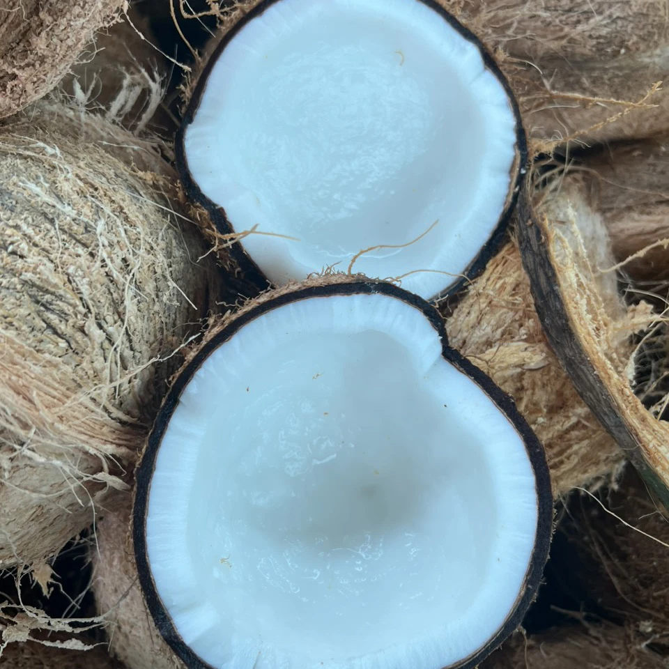 High Quality Semi Husked Coconut From Vietnam Hot Selling Brand Supplier Wholesaler Cheap Price