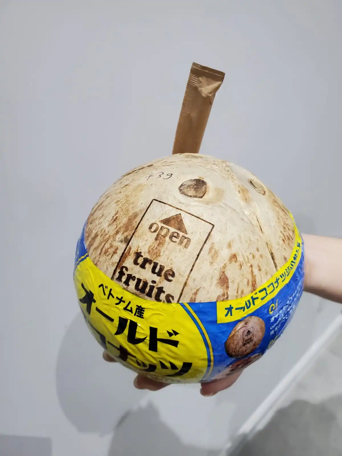 True Fruits_Coconut: Natural Brown Mature Coconuts with Straw for drinking then cooking, Vietnam for export +84989962103