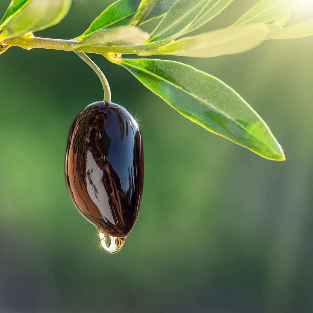Made in Italy italian Extra virgin olive oil with rosemary in bottle 0,25 lt whosale price without dyes and preservatives
