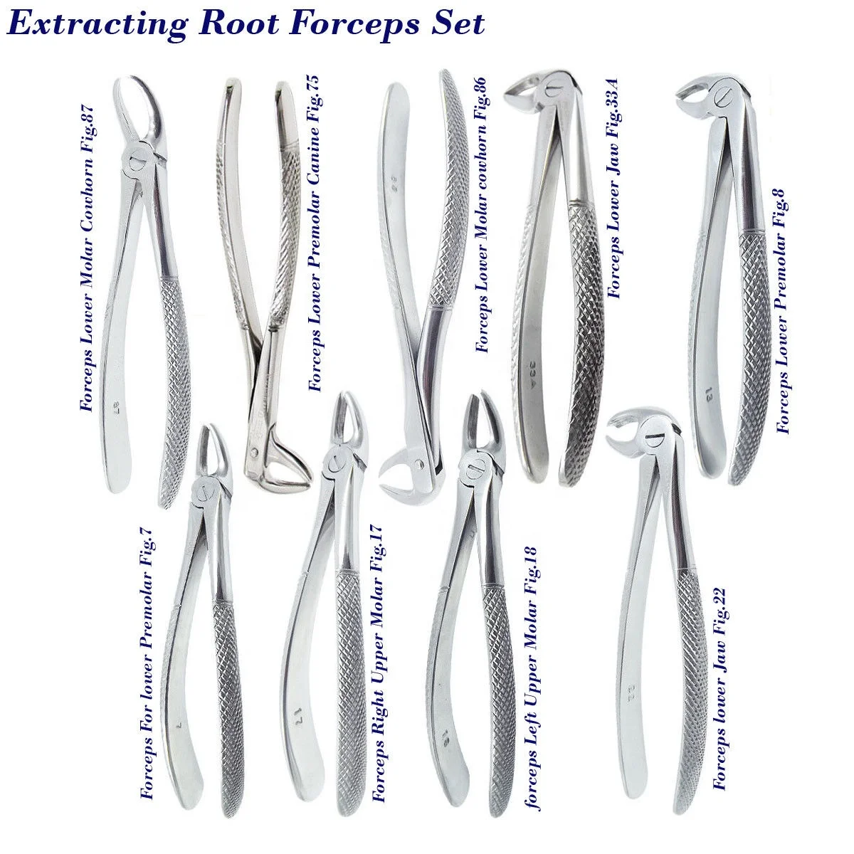 Hot Selling 1 Premium Export Quality Dental Instruments Adult Tooth Extracting Forceps Tooth Extracting Forceps