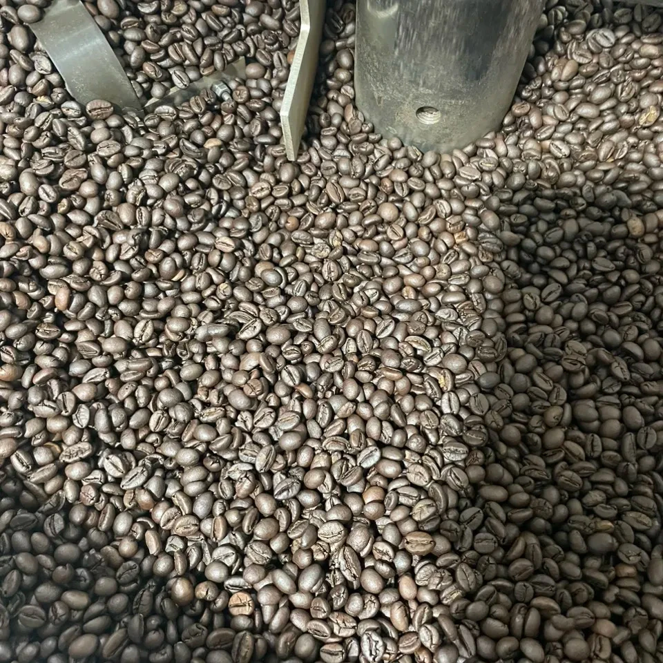 Coffee Green/ Roasted Beans 100% Robusta Sr13/Sr16/Sr18 Low Price Good quality contact now via WA0084838366717 (Ms.Lyna)