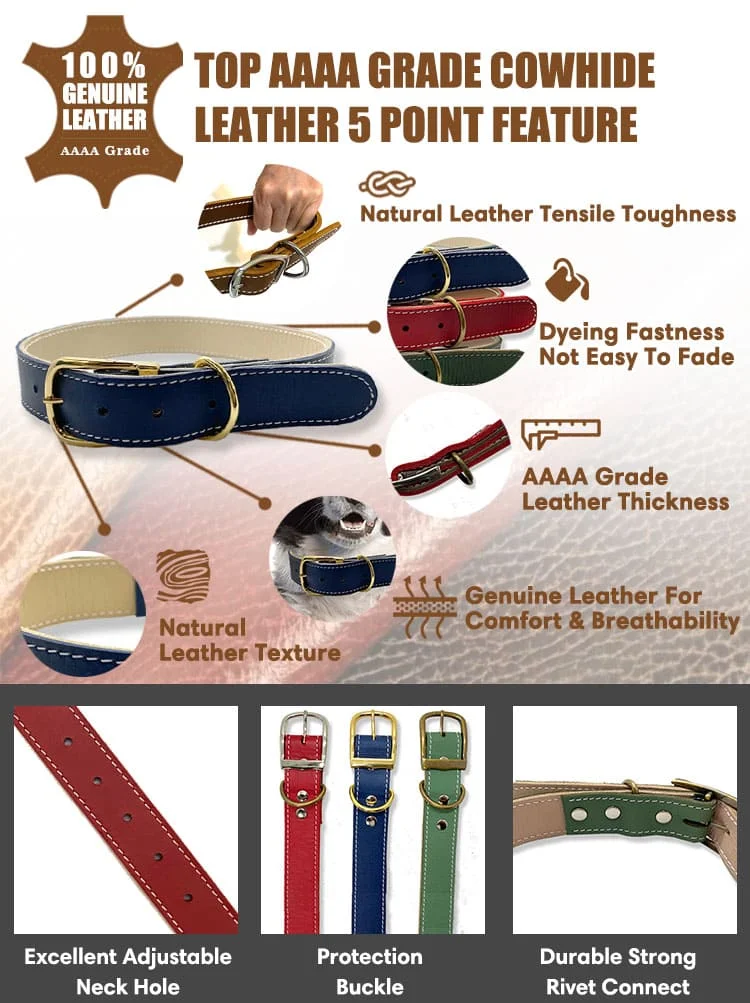 Dog Collar T17 N3L05