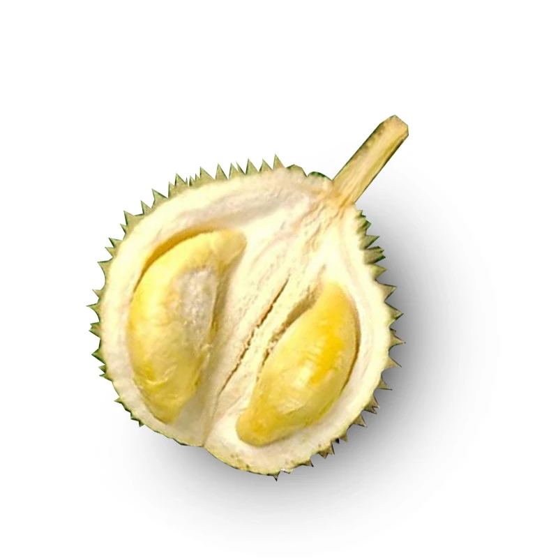 Premium Quality Durian Paste (Mix Musang King, Ioi And D24) Enjoy It Even During The Off-durian Season