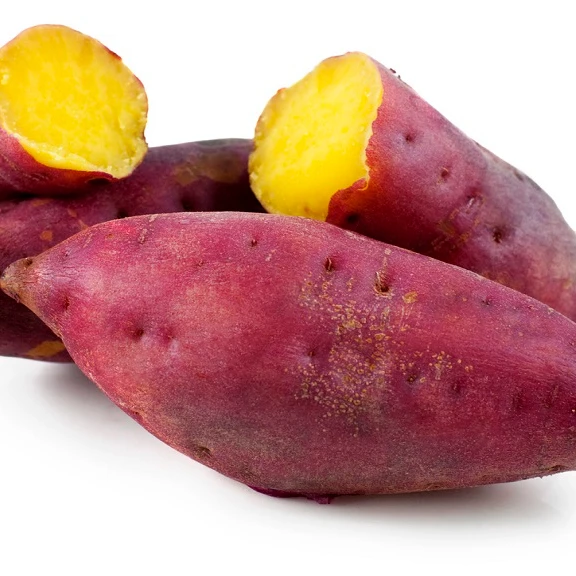 hot deal sweet potato with low price and high quality cheap price fresh sweet potato