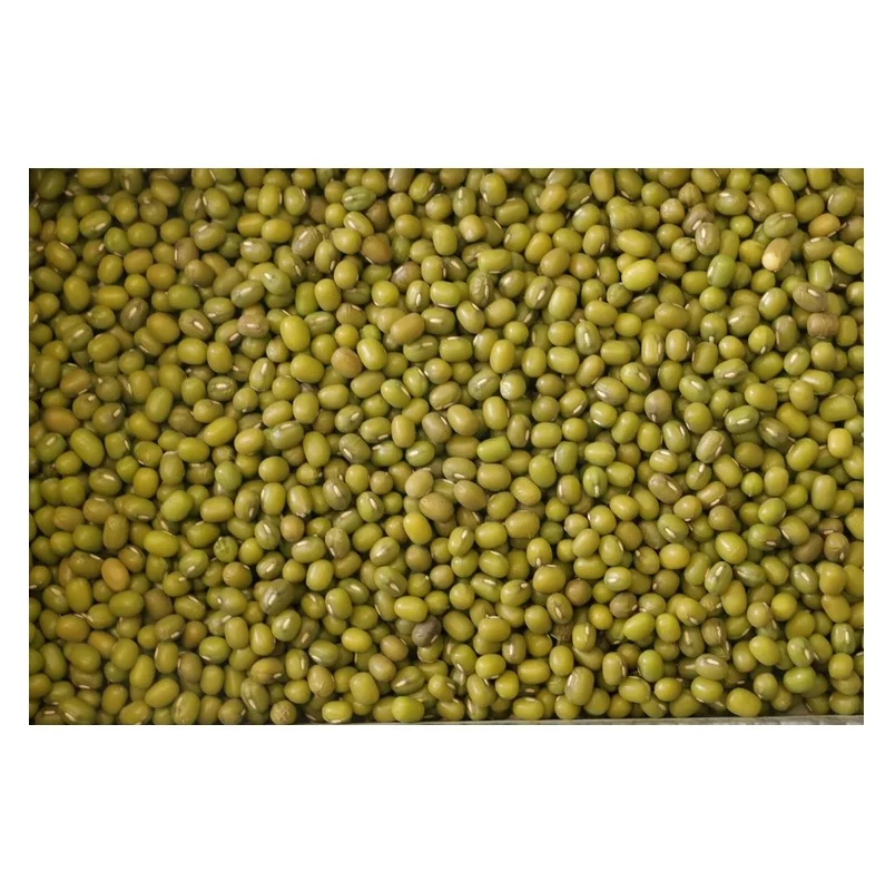 Hot Selling Price Of Green Mung Beans / Whole Moong Beans In Bulk Quantity