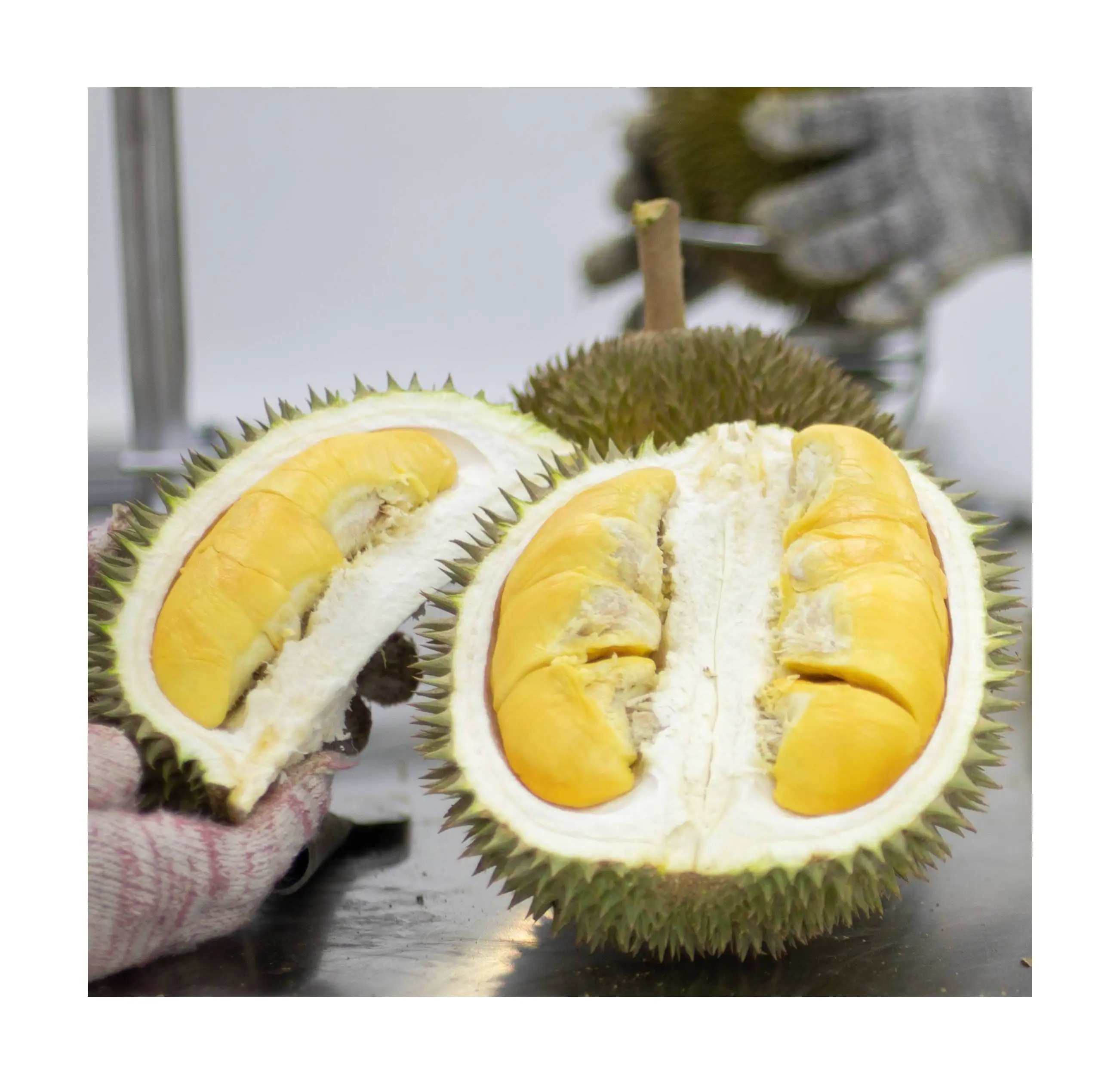 Higher Grade Hot Sales Malaysia 1.4kg Weight Delicious Golden Phoenix Fresh Durian 18 Months Shelf Life Fruit Netting Packaging