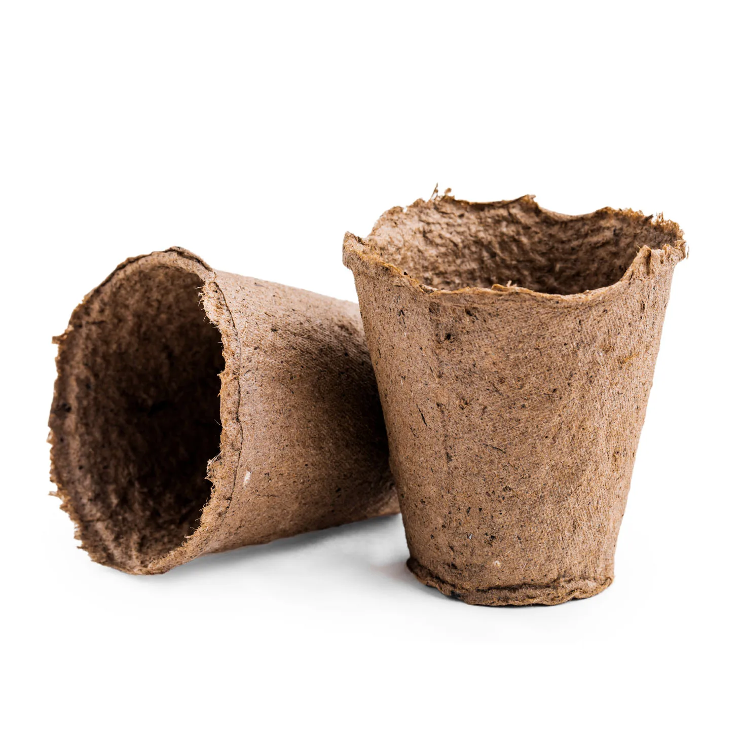 COIR SEEDLING CUP FOR SALE FROM INDIA