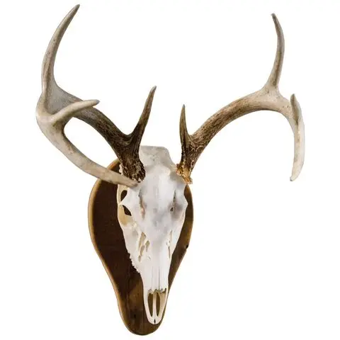Cheap-Deer-Antlers (2).jpg