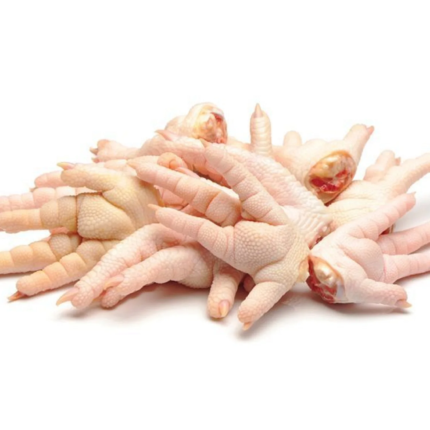 Processed Halal Chicken Feet and Paws in Stock