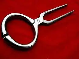 Bull Ring Veterinary Instruments Stainless Steel and Brass Made in Pakistan Durable Metal Featured on Alibaba