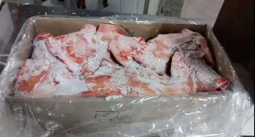 FROZEN PORK MEAT / PIG HEAD / BELLY / FEET / RIB / BRAZIL ORIGIN