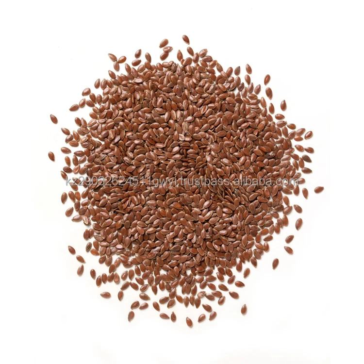 Hot selling Oil flax seeds natural exclusive products multifunctional from Kazakhstan manufactures