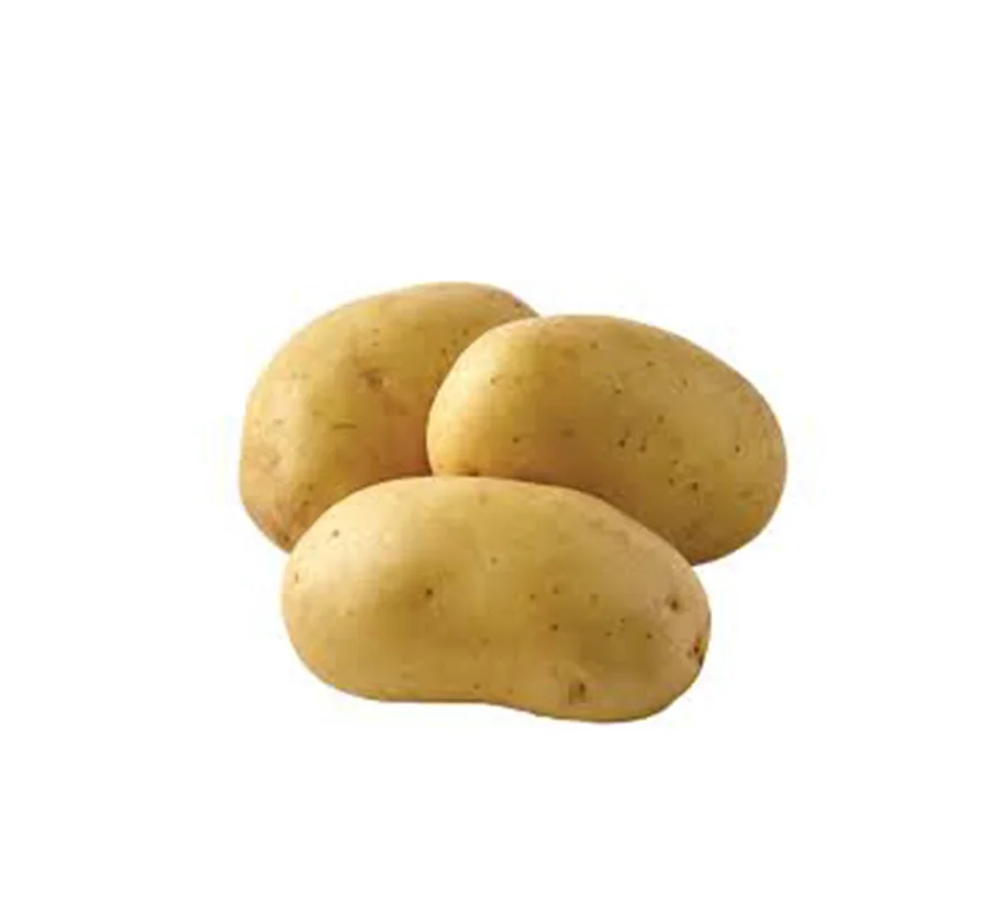 premium export quality Fresh Farm Potatoes Pakistan wholesale cheap pricing fresh potatoes organic farm potatoes white skin