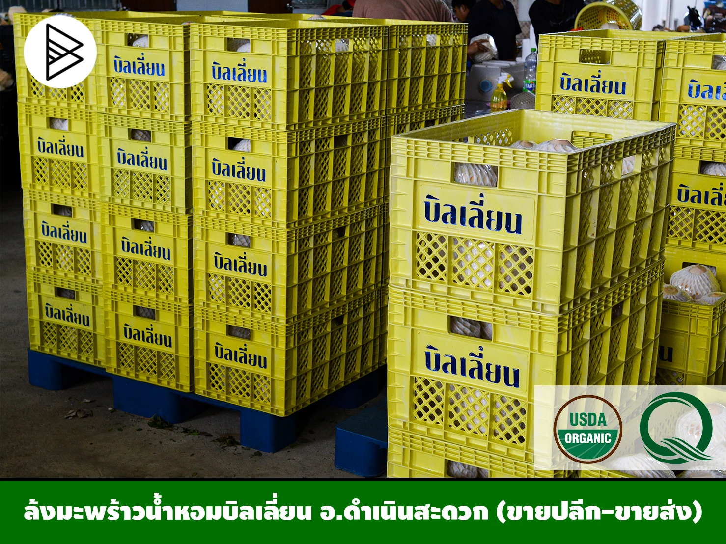 Молодой кокосовый тропический фрукт продукты премиум класса качественный чистый напиток из Таиланда