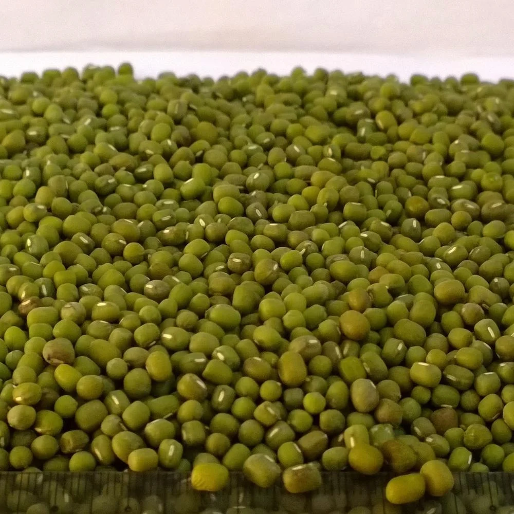 Wholesale Splits Green Mung Beans