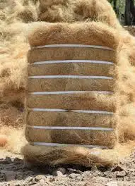 Hot Selling Organic Coconut Coirs Whitefibre The Outer Husks Of Coconut From Indian Coconut Industry Unbelivable Price Dealers