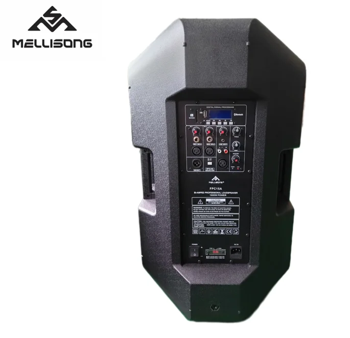 Professional Powered 500-watt 15-inch two-way plastic Active Speaker FPM15AD With bluetooth and MP3, SD, USB OEM/ODM