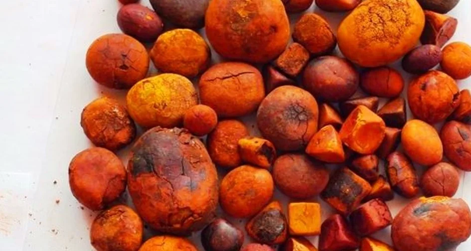 7800grams Top quality ox gallstones/cattle gallstones