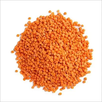 High quality new crop best price red lentils