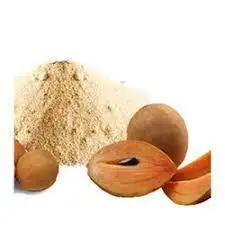 Export Use Superfood Hot Selling Best Quality  spray dried Chikoo fruit juice powder from IndianMade factory Buyers From India