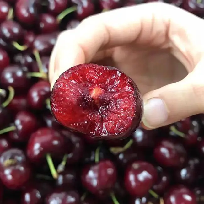 Свежие сладкие вишни/свежие фрукты вишни/красные вишни на продажу