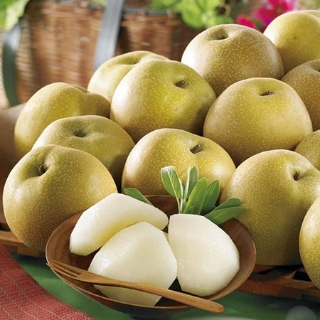 Bulk Fresh Japanese Pear Hosui Nashi