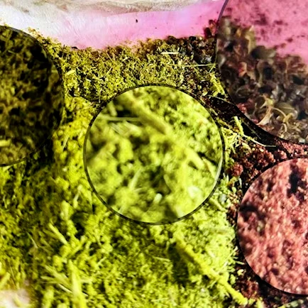 Пакет для волос смягчающий окраску Восстанавливающий ломких и тусклых антиоксидантный Защитный пакет подверженных воздействию смога