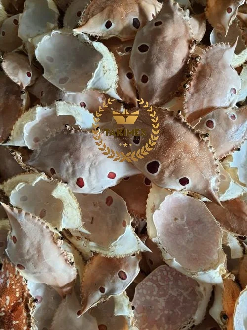 Натуральные сухие ракушки крабов пищевые декоративные от конкурентоспособная цена большое количество