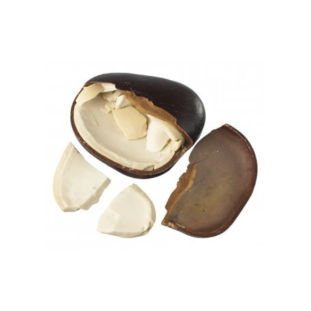 Новое поступление Entada