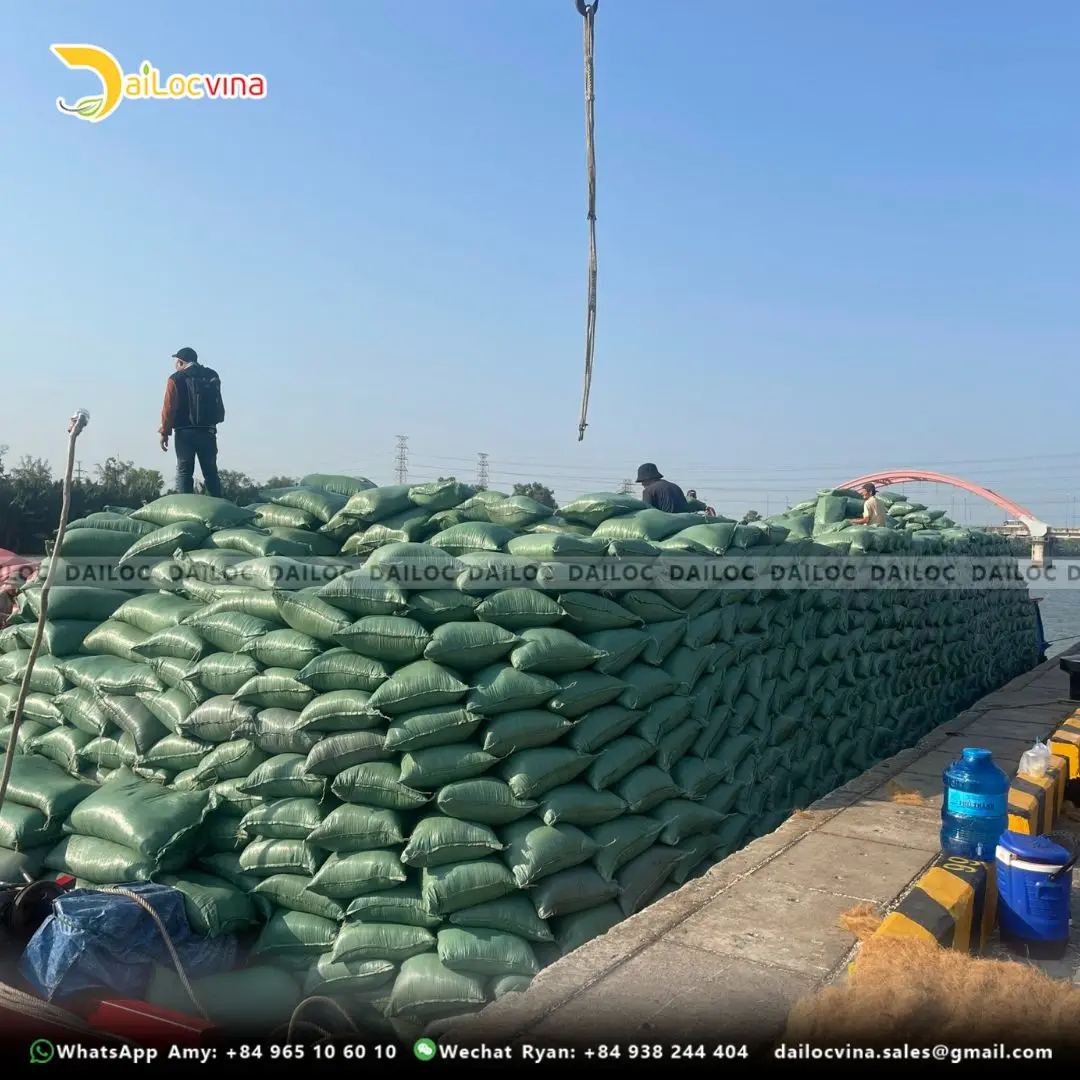 HIGH QUALITY ROUND COCO COIR PEAT FOR PLANTING GARDENING MODERN POTTING SOIL SUBSTRATE OFFICE SPACE MADE COCO FIBER