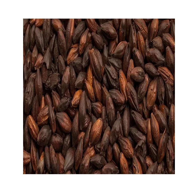 Корм ячменя/ячменя премиум класса ячмень энергетический для корма животных