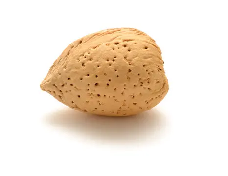 Миндаль в скорлупе (твердый сломанный), высокое качество, натуральный объем 10 кг в коробке, миндаль из Узбекистана, орехи Миндаля в скорлупе для пищевых продуктов