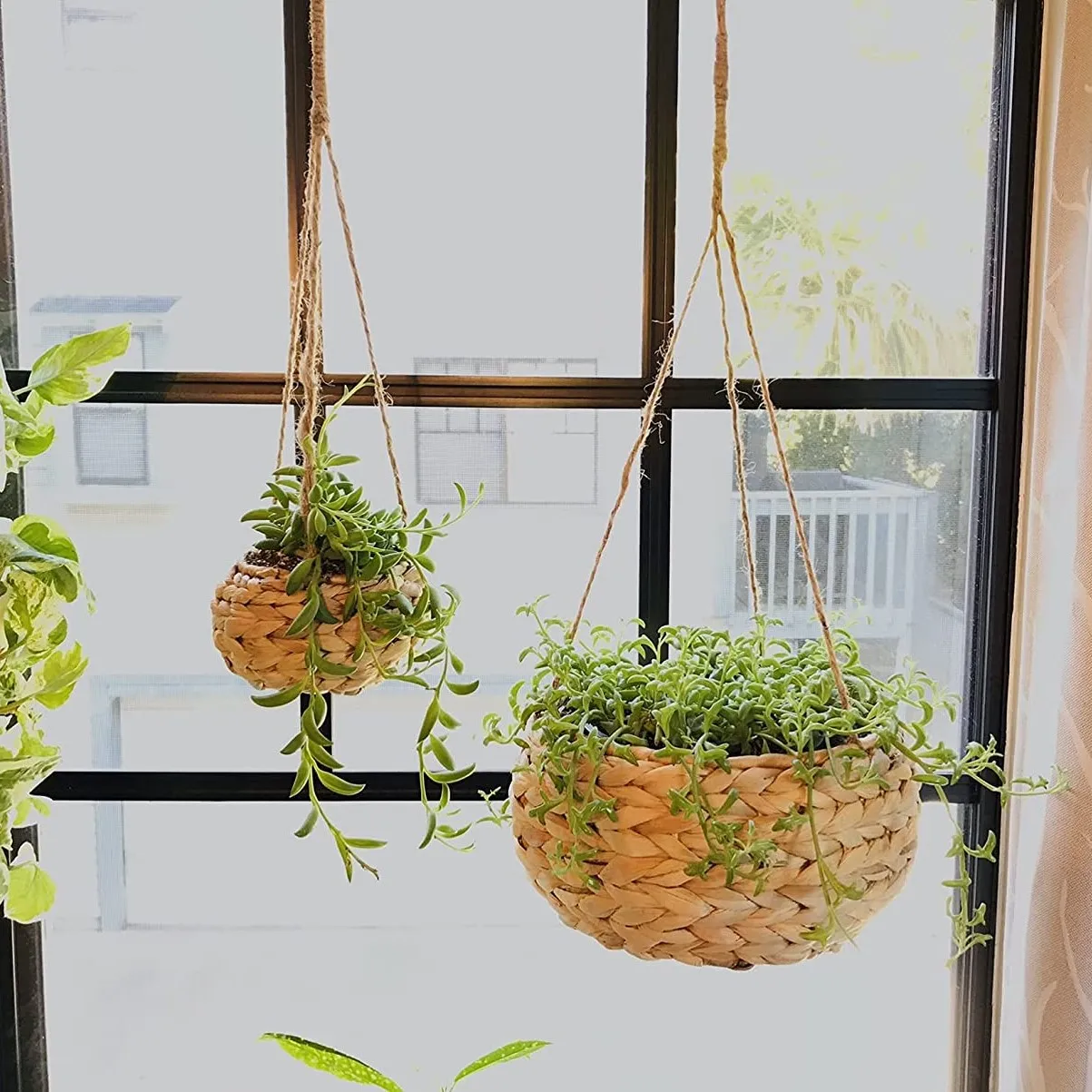 Cheap price water hyacinth plant pot flower eco friendly container pots made in Vietnam wholesale