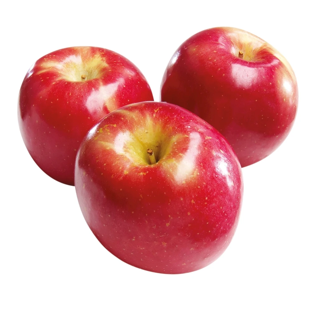 LOW  PRICE  FUJI  RED  APPLES