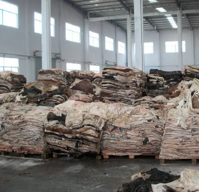 Wet salted cow Hides /skin cow heads animal skins for leathers