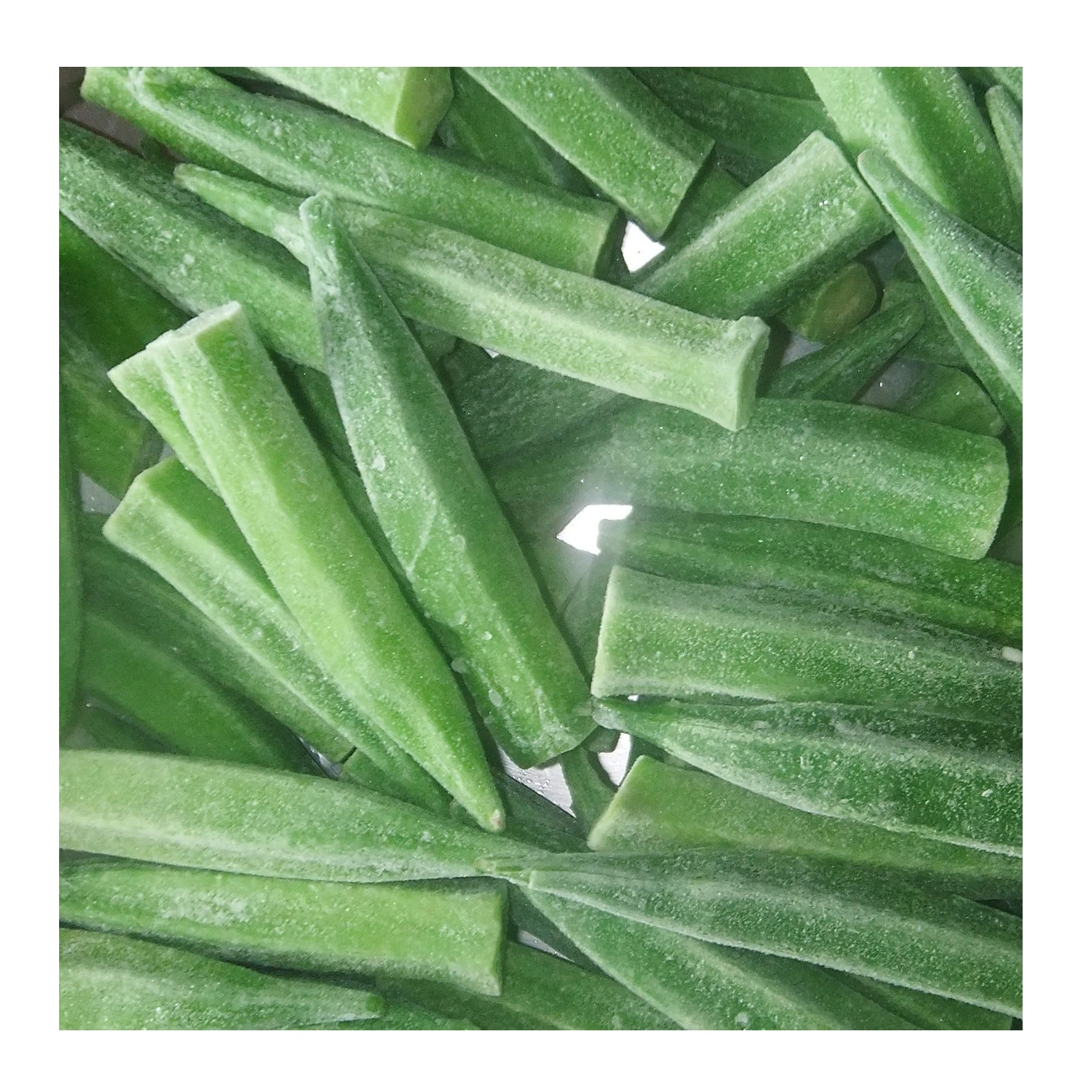 Wholesale fresh okra/ dried okra