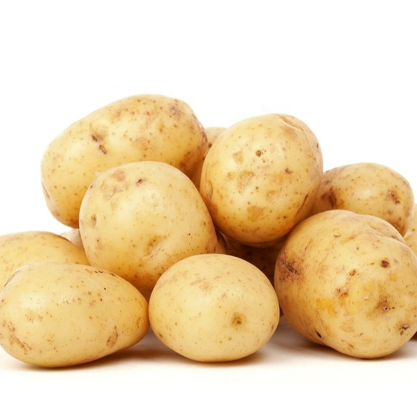 Wholesale Smooth Skin Fresh Jyoti Potato with Fleet Eyes for Instant Flakes and Chips Exporter from India