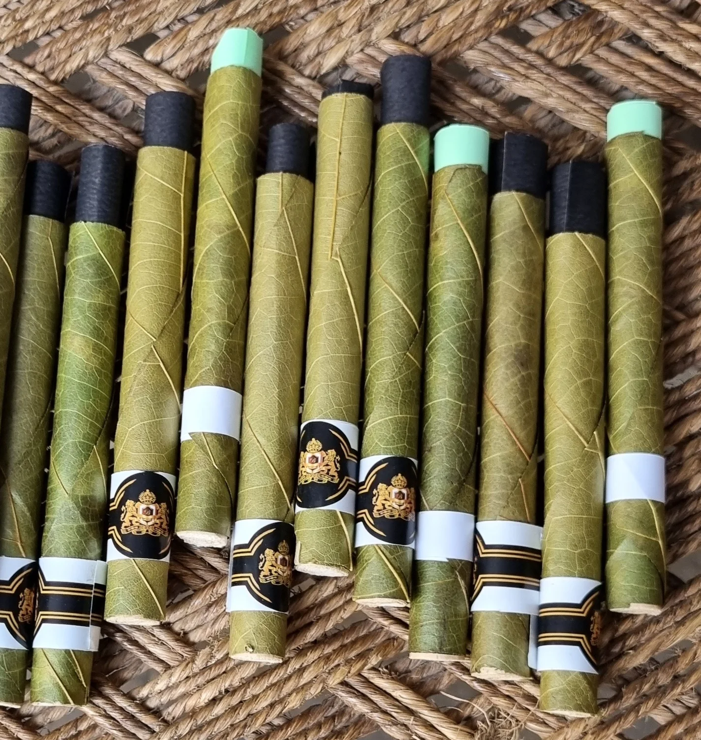 Hand Rolled Palm Leaf Best Price in market Palm Leaf Rolls in wood & glass tips all sizes Rollies Queen & King sizes bulk supply