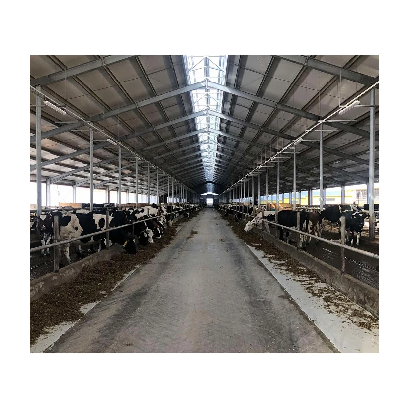 Prefabricated steel structure pig shed cow house I beam steel frame easy build sail cow housing for sale