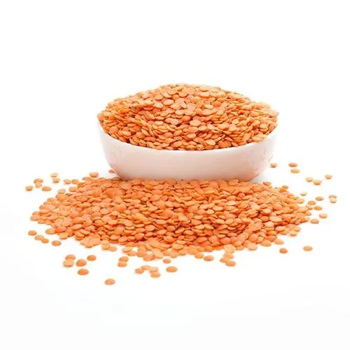 Quality Bulk Dried whole split Lentils Red Lentils Green Lentils