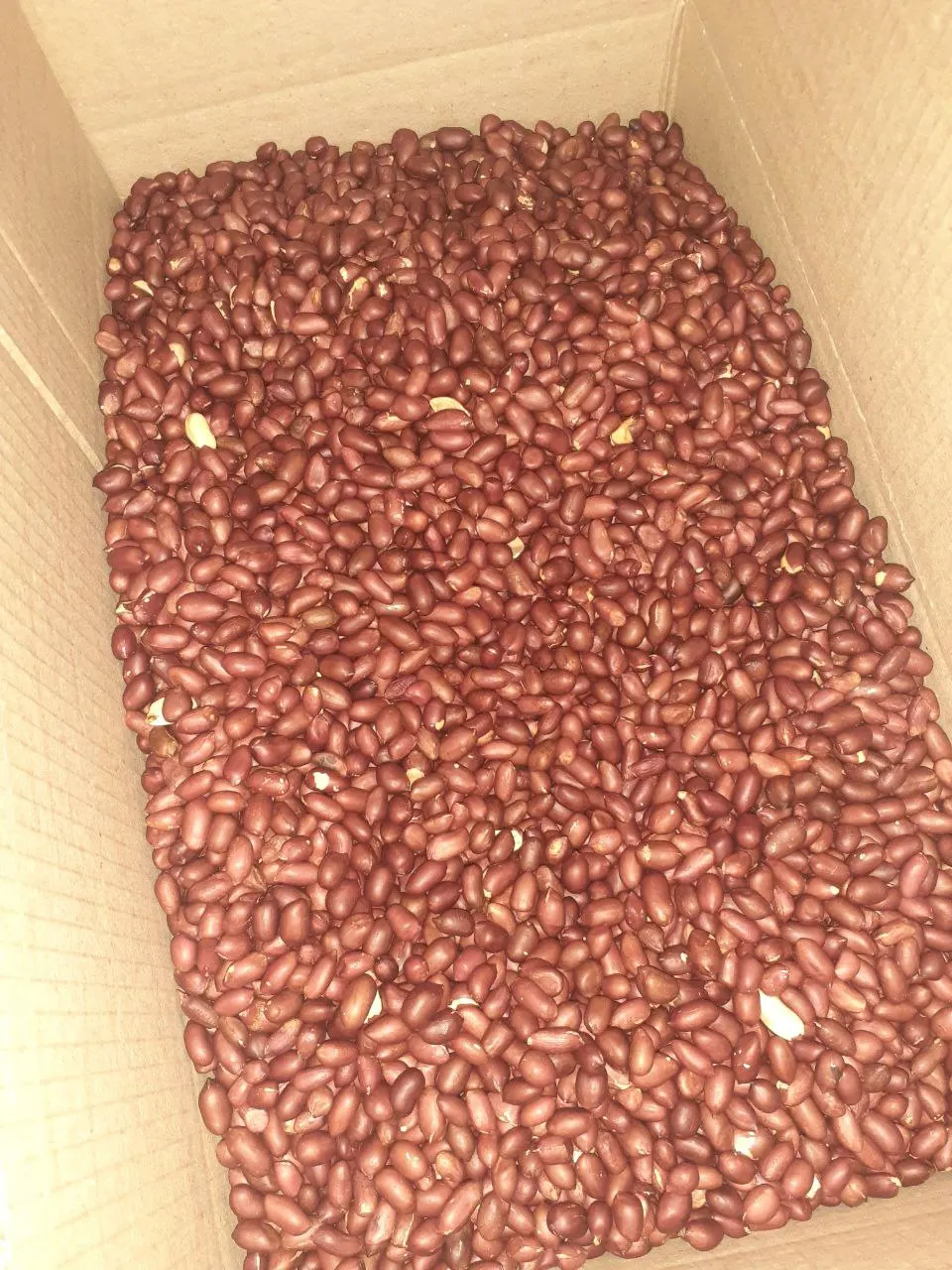 Wholesale Natural Organic First Grade Roasted Peanuts Bulk Pealed Roasted Peanut Laser Sorting Peanuts Nuts & Kernels