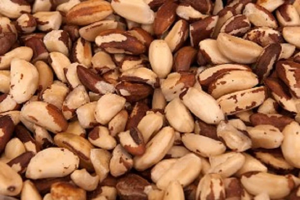 Organic Brazil Nuts for sale