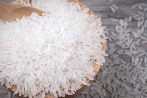 Newest Crop KDM RICE Vietnamese Long Grain Fragrant White Rice for Wholesales from Top Supplier in Vietnam