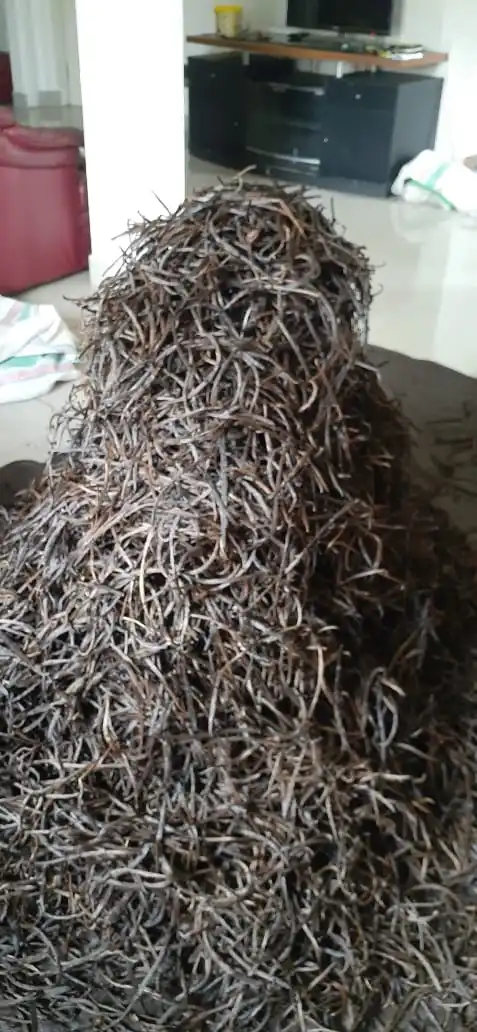 Высококачественные Ванильные бобы премиум-класса, урожай из Яванского острова, Индонезии, домашнее хозяйство и одиночные специи