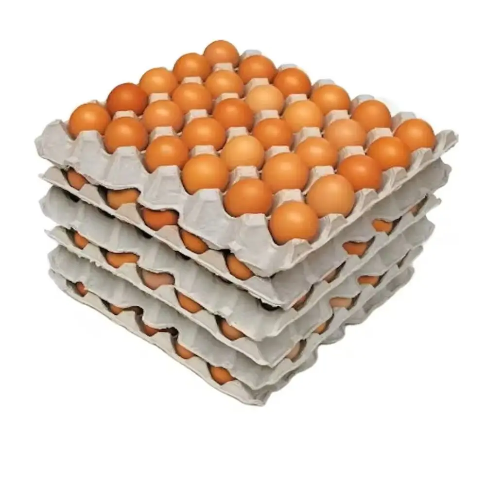Высококачественные куриные столовые яйца-свежесобранные фермерские яйца доступные для оптовой покупки высококачественные и по цене