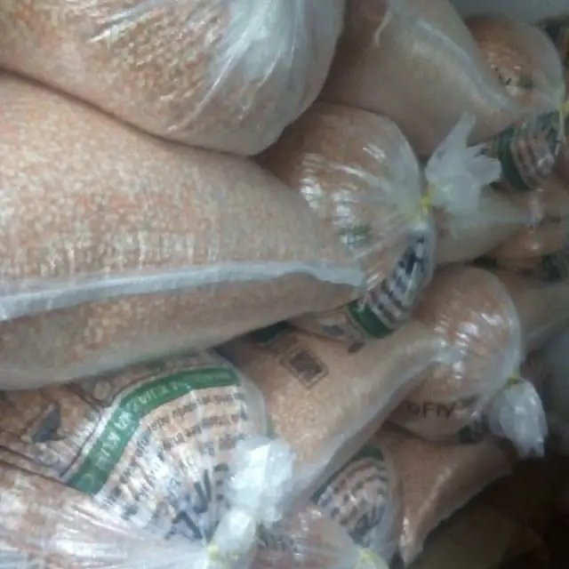 Wholesale Dried Red Corn Available at good prices Buy Dried Corn for Pop Corn Beer Making at cheap prices Buy