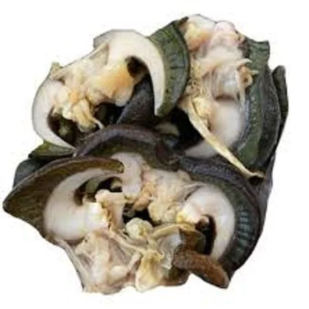 Cheap Price Fresh and Dried African Giant Snails Available
