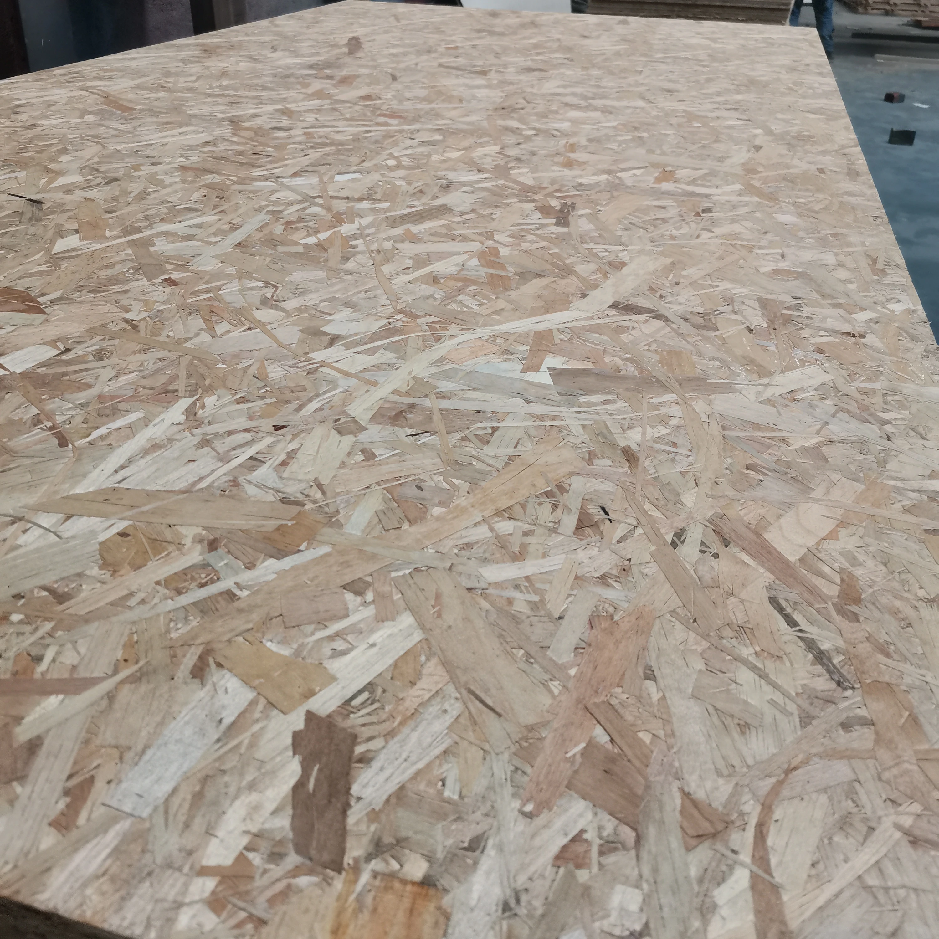 Целая продажа MR меламин WBP фенольный клей водонепроницаемый 8 мм OSB2 OSB3 доска 1220x2440