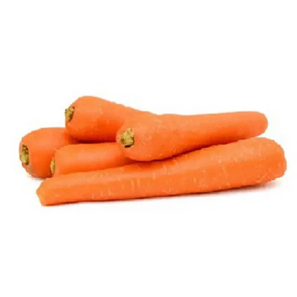 Fresh Carrot/ Direct Carrot Supplier / Carrot