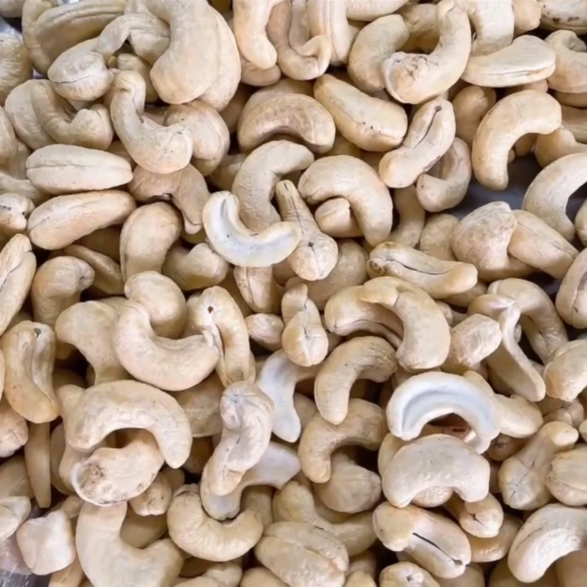 Hot Sale Best Rate Raw Cashew Nuts W320, W240, W180 Cashew Nuts Chocolate Cashew Nuts Private Label Packaging Available